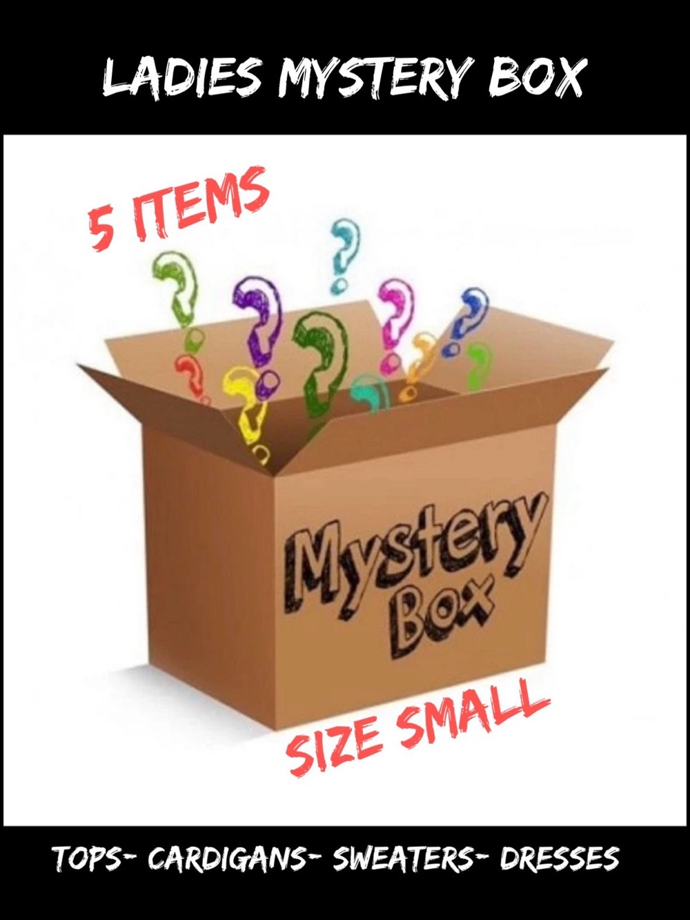 Mystery Box- Ladies Tops Small